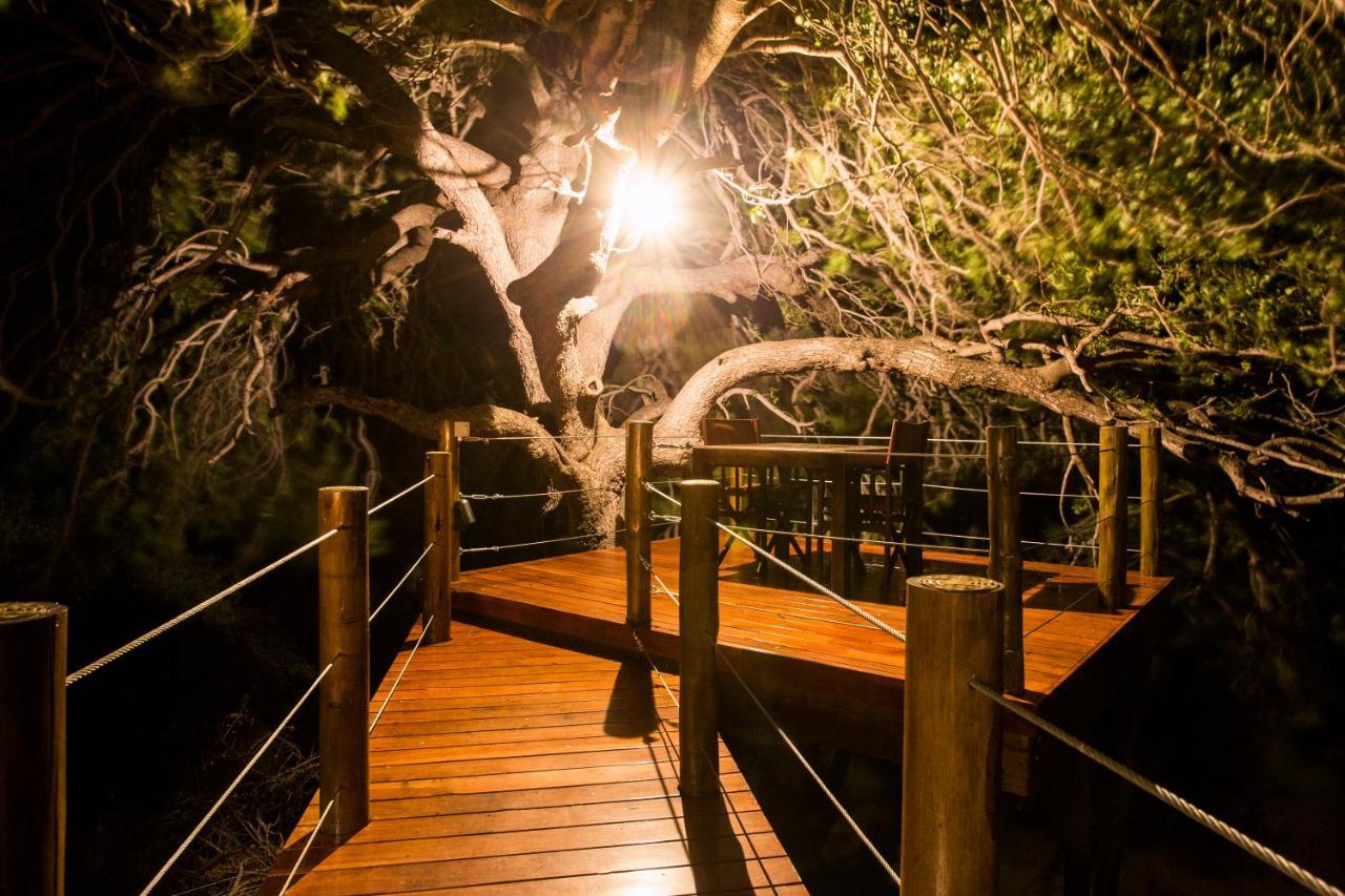 Naledi Lodges Balule viltreservat Exteriör bild